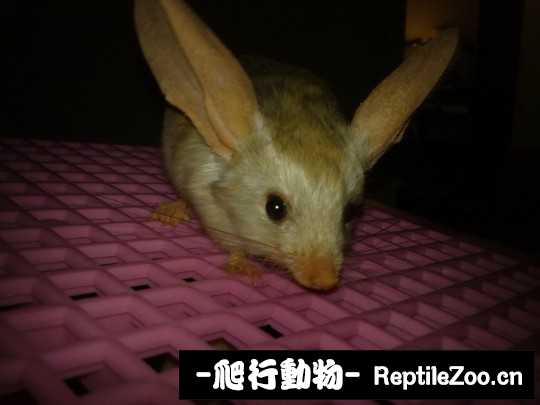 003426p6mjjjr6kufmi7pm.jpg