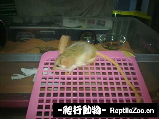 003427a5utbuegst6afelc.jpg