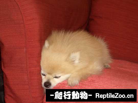 003428inn8p98vyzq8jgpm.jpg
