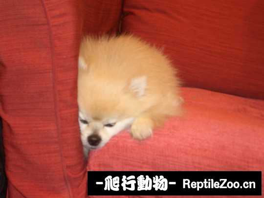 003428v0n43rkotrswzkwk.jpg