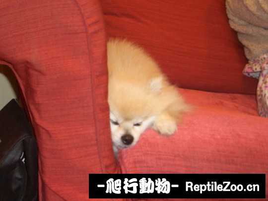 003429arb6wz777wm47pmw.jpg