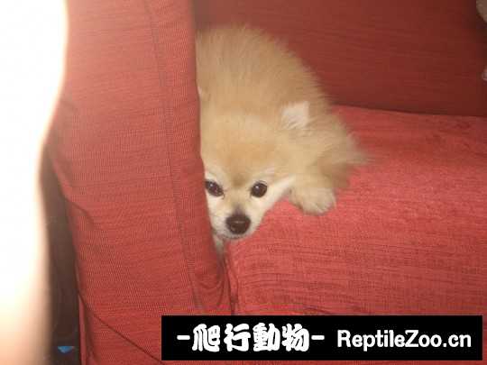 003429jlnxbiy4jwy3bnnb.jpg