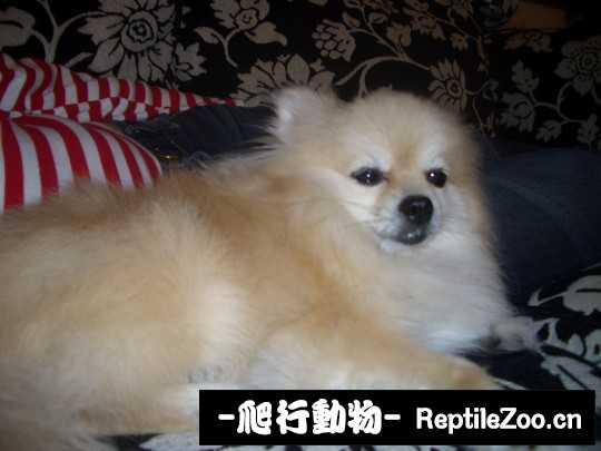 003434gwlr0r80y8v4e0r8.jpg