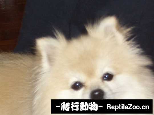 003435scpr707d5py00jyy.jpg