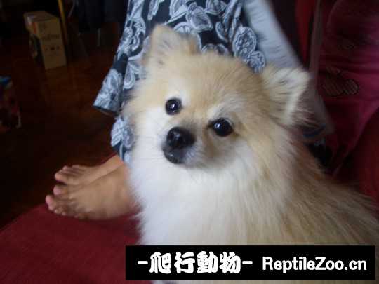 003436qvmvrrar99i1r219.jpg