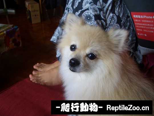 003437bsxhnsewekmkw2sn.jpg