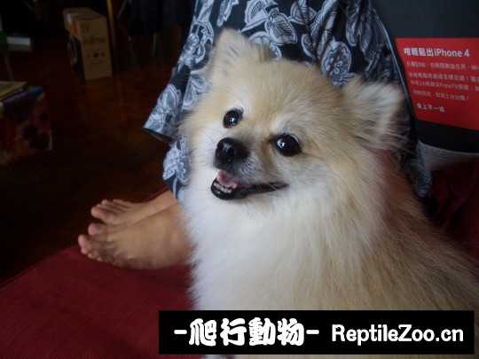 003437i785m7886momqic6.jpg