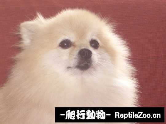 003438ayljacazdrylaqdr.jpg