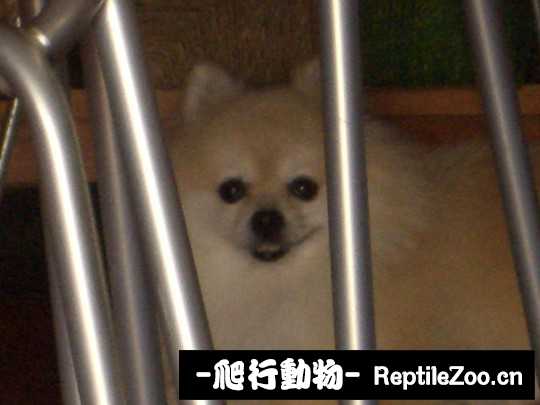 003438wv9addv9mzlgst5w.jpg