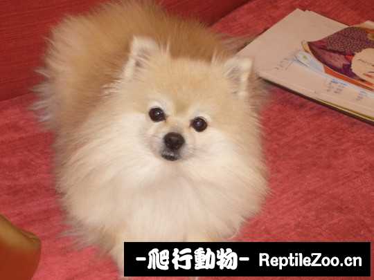 003439x29bxxzl2cxx9bb7.jpg