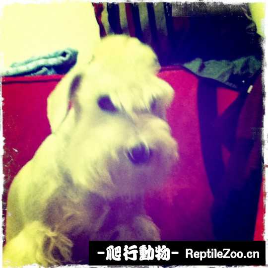 003447v53zceby5zrui3jr.jpg