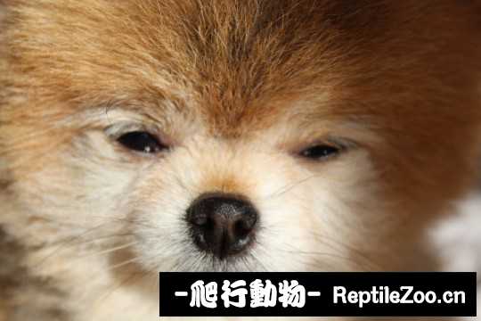 003505vqqn7py7z7jnv37z.jpg
