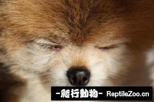 003505z4djwt6thozw074z.jpg