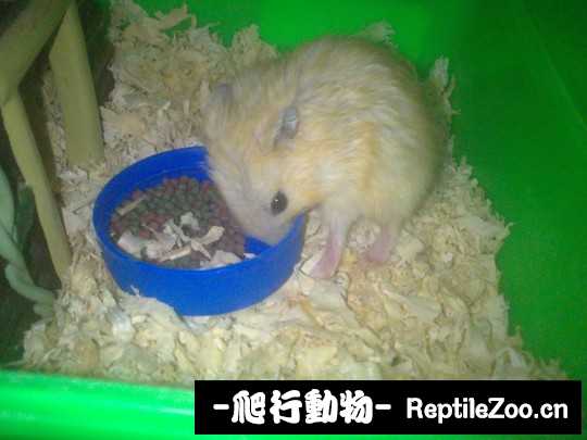 003644mugyfuu2y8hn8u8u.jpg