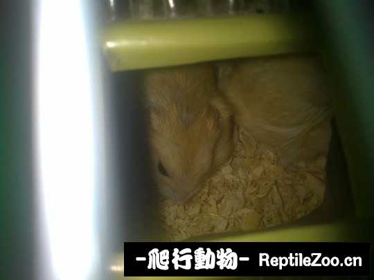 003644zzb3d26z64koowz0.jpg