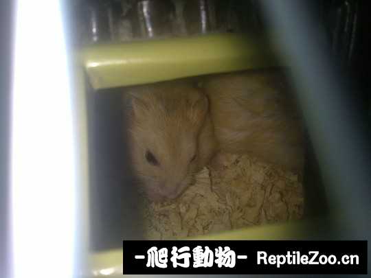 003645wezm3mczgcddjxjc.jpg