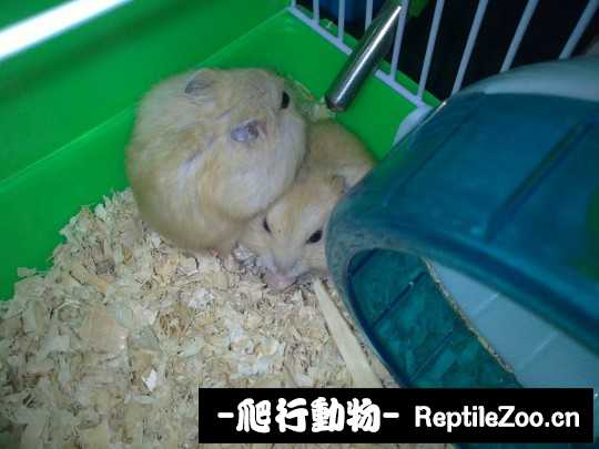 003653pbgzz1dnla12byr2.jpg