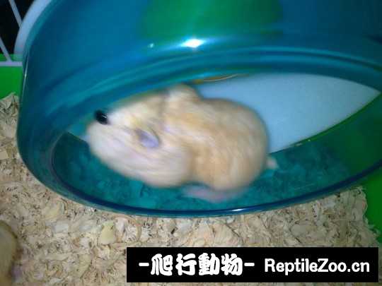 003654kcaz4i1jss7m4sgg.jpg