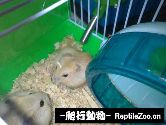 003654pdff1r2f71b1bmhj.jpg