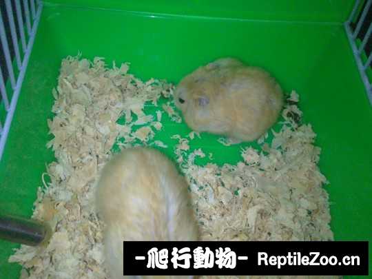 003702hhie99q7sh2ahow1.jpg