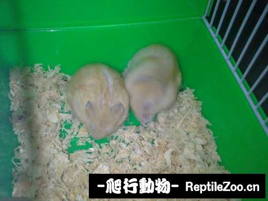 003703fuazuizgcg2akezw.jpg
