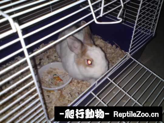 003809c27jpnfyzfppxy8j.jpg