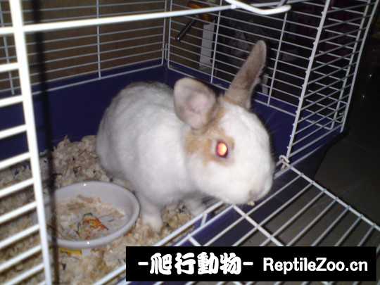 003810de77etla9r6u47tu.jpg
