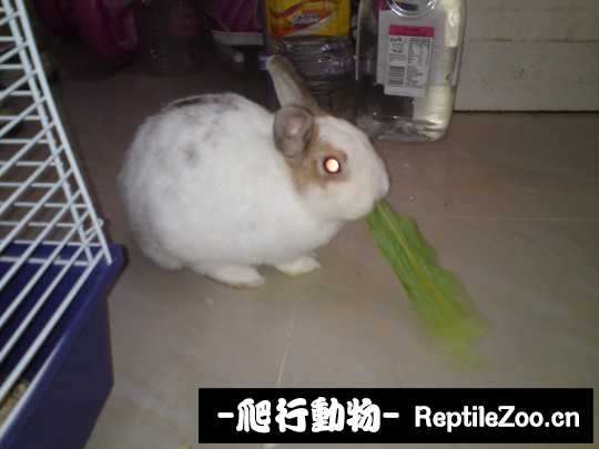 003812ecp7urrn77tnpdtr.jpg