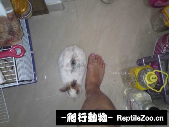 003812kigyqypaseqgc34x.jpg