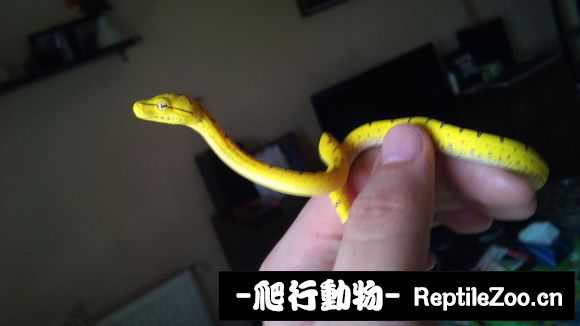 display_picture.php?url=http%3A%2F%2Fimgsa.baidu.com%2Fforum%2Fw%253D580%2Fsign%3Def0784c4b319ebc4c0787691b227cf79%2F7bf489af2edda3cceaef038101e93901203f924e.jpg