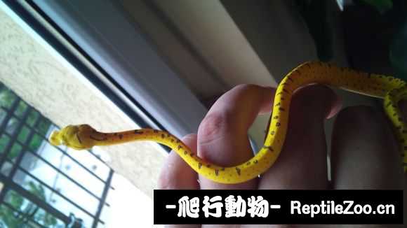 display_picture.php?url=http%3A%2F%2Fimgsa.baidu.com%2Fforum%2Fw%253D580%2Fsign%3D69f623ffddc451daf6f60ce386fc52a5%2F15eff12a2834349b7118d524c9ea15ce37d3beb3.jpg
