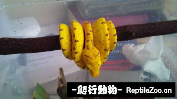 display_picture.php?url=http%3A%2F%2Fimgsa.baidu.com%2Fforum%2Fw%253D580%2Fsign%3Ddd86826531adcbef01347e0e9cae2e0e%2F9d89f41373f08202578b2a9e4bfbfbedaa641bb3.jpg