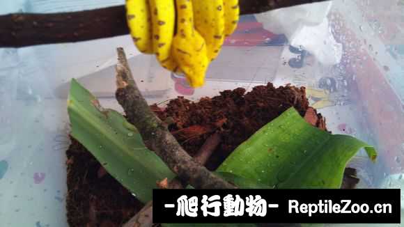 display_picture.php?url=http%3A%2F%2Fimgsa.baidu.com%2Fforum%2Fw%253D580%2Fsign%3Df36fdf9ed9f9d72a17641015e42b282a%2F89d0edfcc3cec3fd15201cd4d688d43f869427b3.jpg