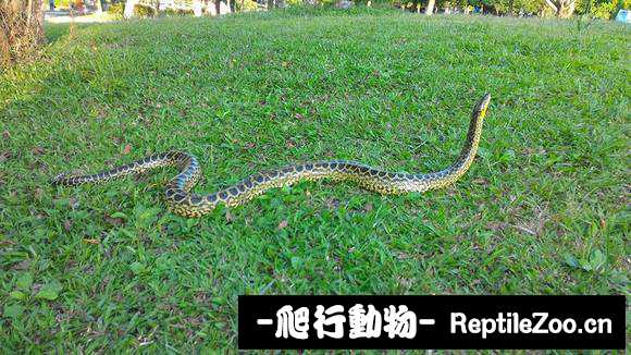 display_picture.php?url=http%3A%2F%2Fimgsa.baidu.com%2Fforum%2Fw%253D580%2Fsign%3D246a56850224ab18e016e13f05fbe69a%2F250c13d3d539b6004cffbc14e250352ac75cb7a6.jpg