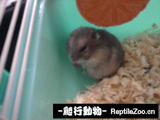 004221d359bb4z3ekfkttf.jpg