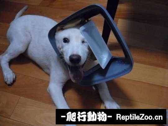 004334i2eyvymzvfuh2n2v.jpg
