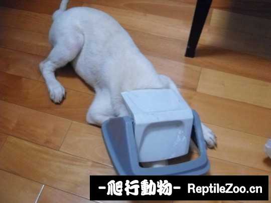 004334r4j1i1xed7pjzite.jpg