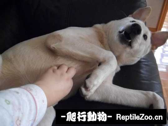 004335ss37ruhkh06hhh43.jpg