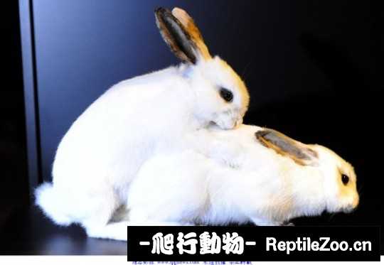 004546tb2f1b8hbww5gxf9.jpg