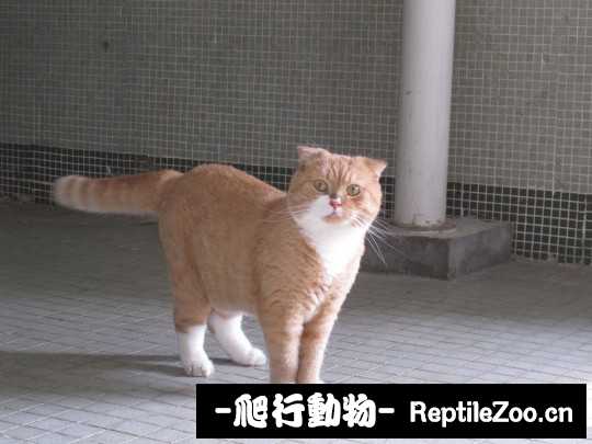 004619kxx7tv5cicxnziz7.jpg