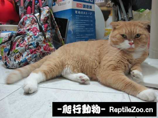 004620uh1cc5c42m14zchg.jpg