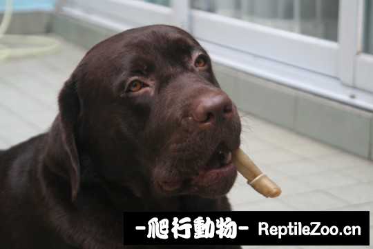 004623gqvy1cfntj8jkv9j.jpg