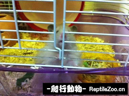 004629qab2mxbb5tqzjb7l.jpg