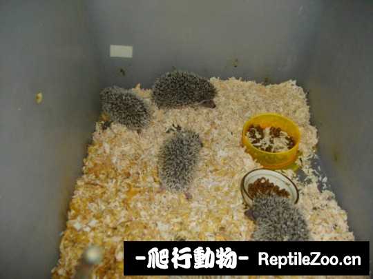 004658k2z65erc6zn2kfb8.jpg