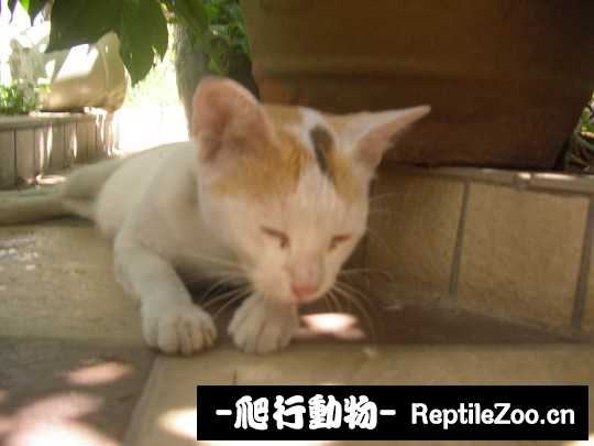 004726g7jxhz17uukjj1ic.jpg