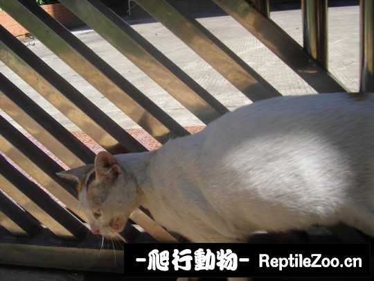 004727h2f5ioupg5fzc52f.jpg