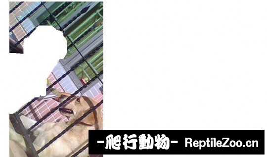 004732qpipjluuhz1cupcn.jpg