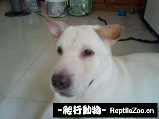 004733e00ez54x45jq5hmj.jpg