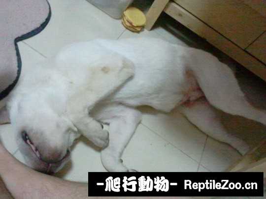 004734nocqfeye4hmsm88q.jpg
