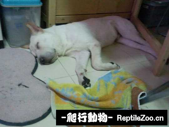 004734rx2qx7xlrlicxr72.jpg